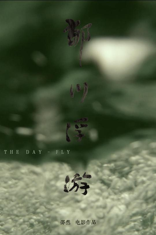 地球防卫遗孀在线影视海报