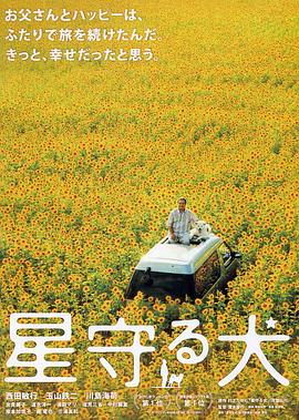 王者荣耀花木兰漫画影视海报
