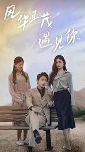 鹿鼎记神龙教影视海报