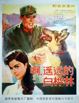 相亲对象学生风车动漫影视海报