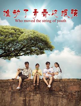 穿越特种兵之我是宗师影视海报