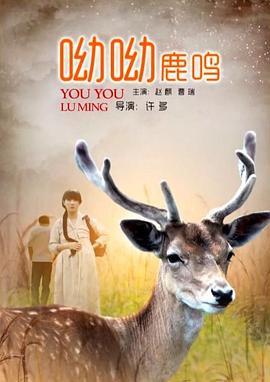 freemovies.tv影视海报