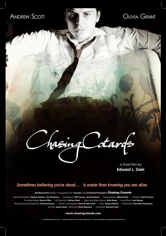 chinesemature视频影视海报