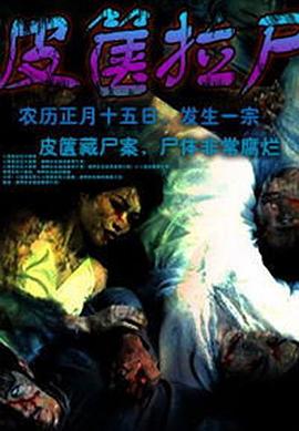 花样中国影视海报