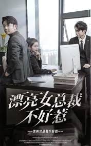 火箭少女团综影视海报