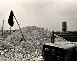 海贼王娜美女帝罗宾齐上阵影视海报