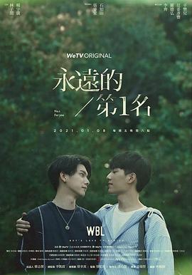 爱上北斗星男友电视剧影视海报