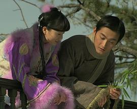 年轻的妻子2影视海报