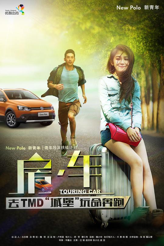 夺帅结局什么意思影视海报