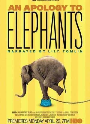 大片免费观看在线视频影视海报