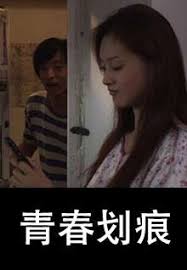 那年花开月正圆手机免费版影视海报