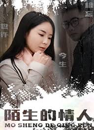 满汉全席电影影视海报