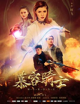 贼巢电影影视海报