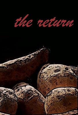 武工队传奇第一部免费观看影视海报