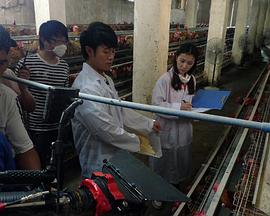 杀人游戏电影影视海报