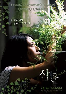 新十二生肖电影国语版影视海报