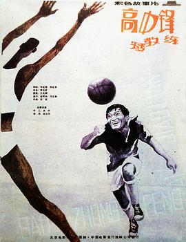 亚洲人手机免费视频影视海报