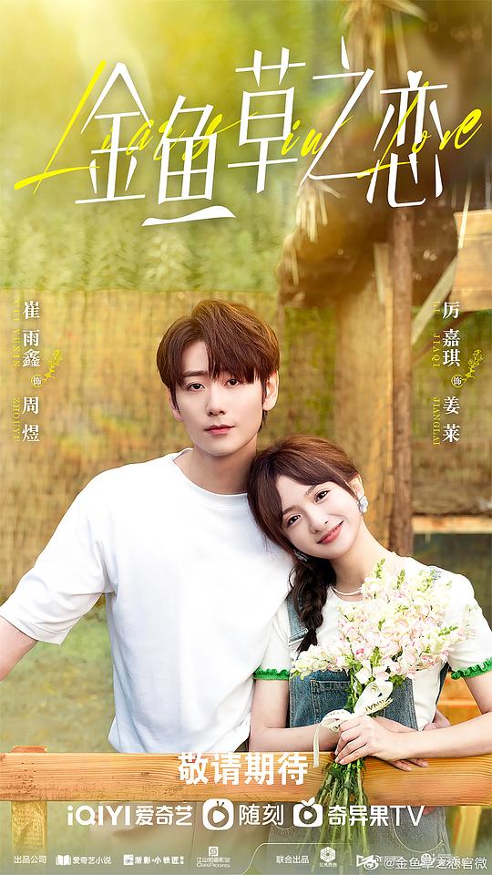 追梦刘瑞阳影视海报