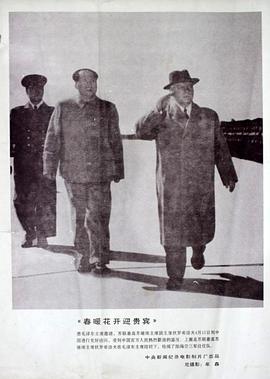 芈月传在线观看免费全集影视海报