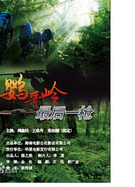 我叫林小喜今年十七岁影视海报