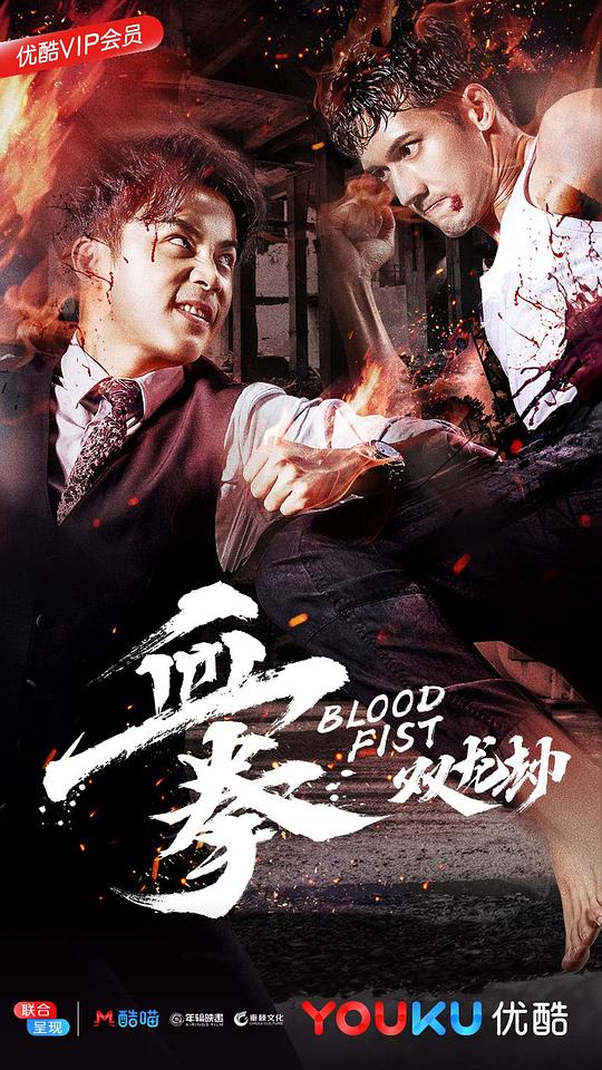 贺力王影视海报