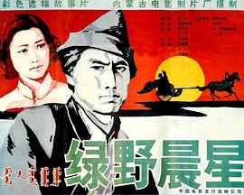 如此多娇影视海报