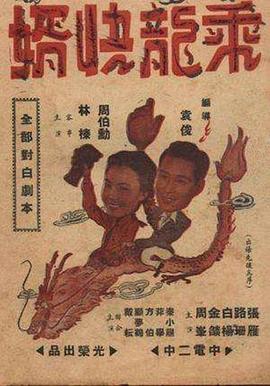 口述少妇影视海报