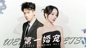 四虎东方va私人影库影视海报