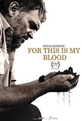 刘莉莉电视剧影视海报