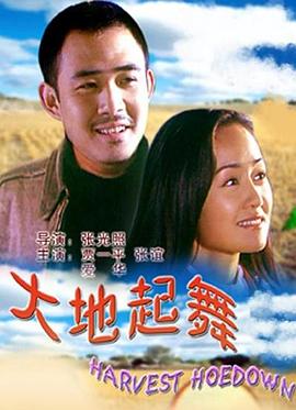 running2013全集资源影视海报