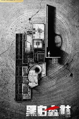 叶子影视在线观看影视海报