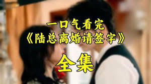 那些爱过的人影视海报