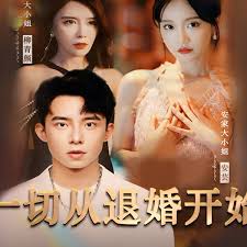 村妓免费在线观看影视海报