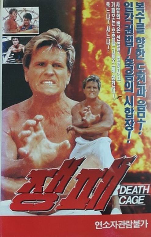 战狼2女主角影视海报