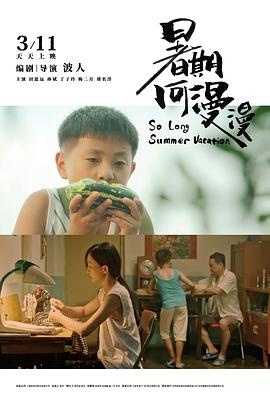 三国演义95集在线观看影视海报