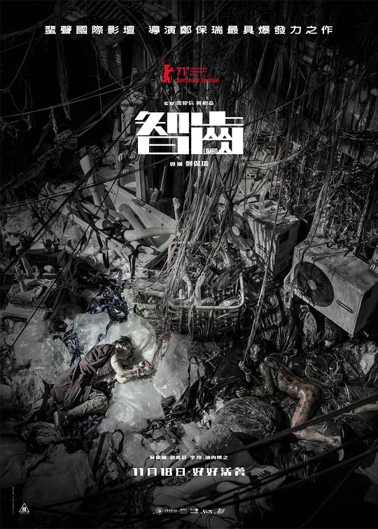 良心无悔电视剧全集影视海报