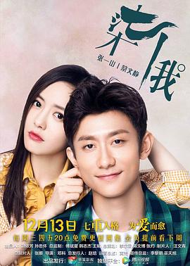 皇马为什么叫美凌格影视海报