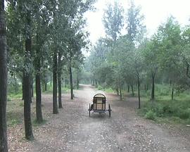 幻境逃生影视海报