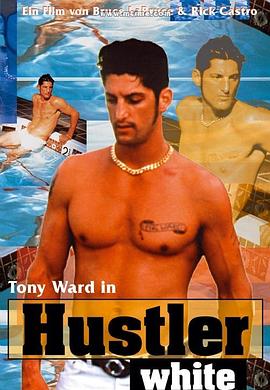 法证先锋2全网免费观看影视海报