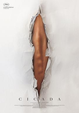 锦衣卫电影影视海报