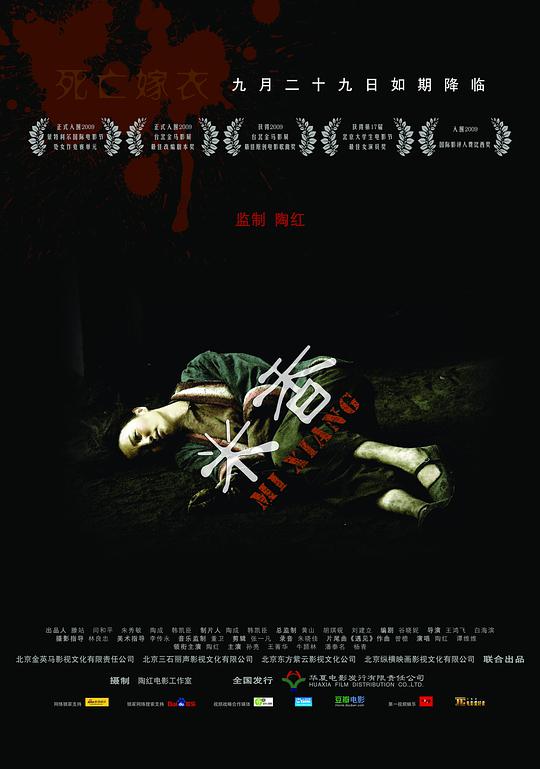 抢钱夫妻影视海报