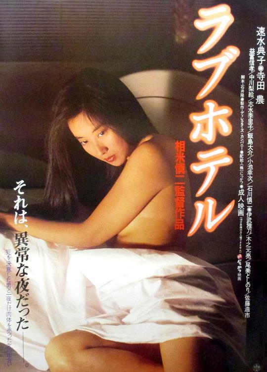 亚丝娜同人本子影视海报