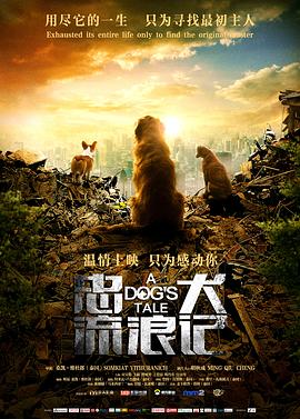 你会怎么做第一季影视海报