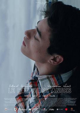 快猫最新下载地址影视海报