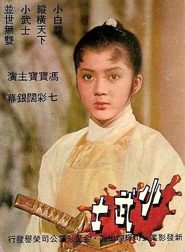 忍者龟2影视海报