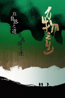 私人订制高清在线播放影视海报