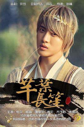 痞子英雄全集免费观看影视海报