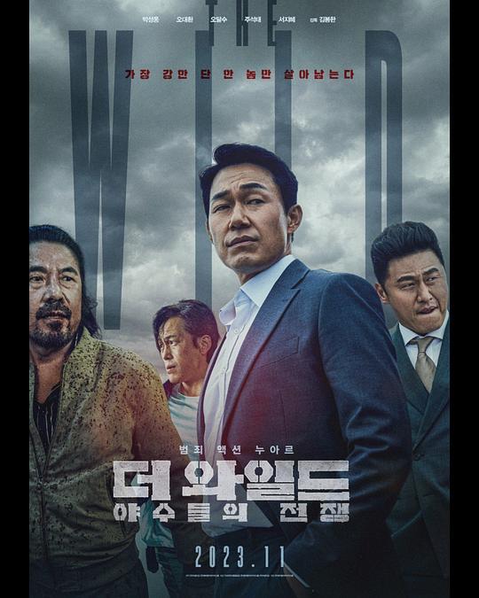 远征电视剧影视海报