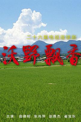 超级旅行团影视海报