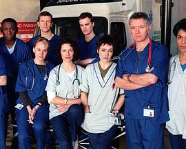 一母二凤侍一夫的小说影视海报